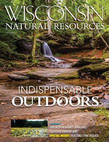 Cover of Summer 2020 issue