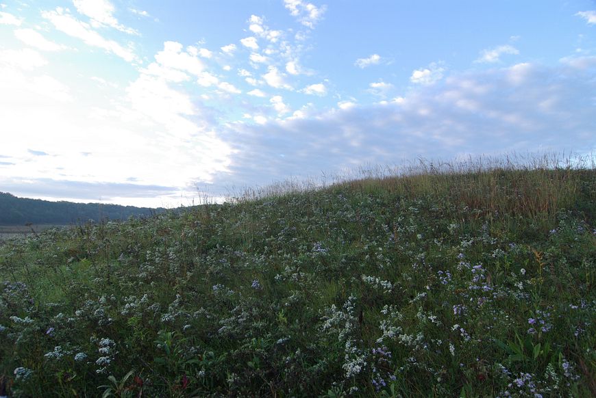 wide-open space with blue sky