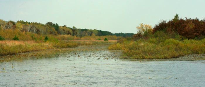 A photo of the Amsterdam Sloughs Wildlife Area.