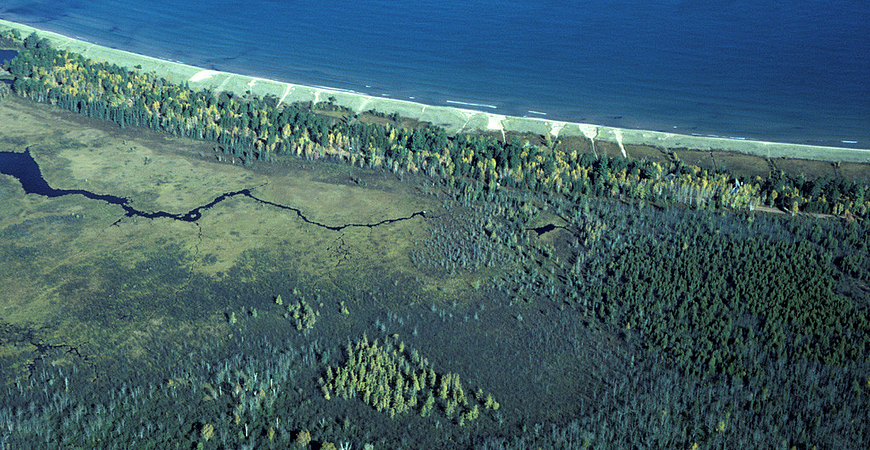 Lost Creek Bog