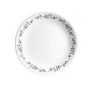 Vibrant Gloria 6.75" Appetizer Plate