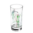Shadow Iris 16-ounce Drinking Glass