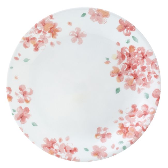Boutique Adoria 12-pc Dinnerware Set