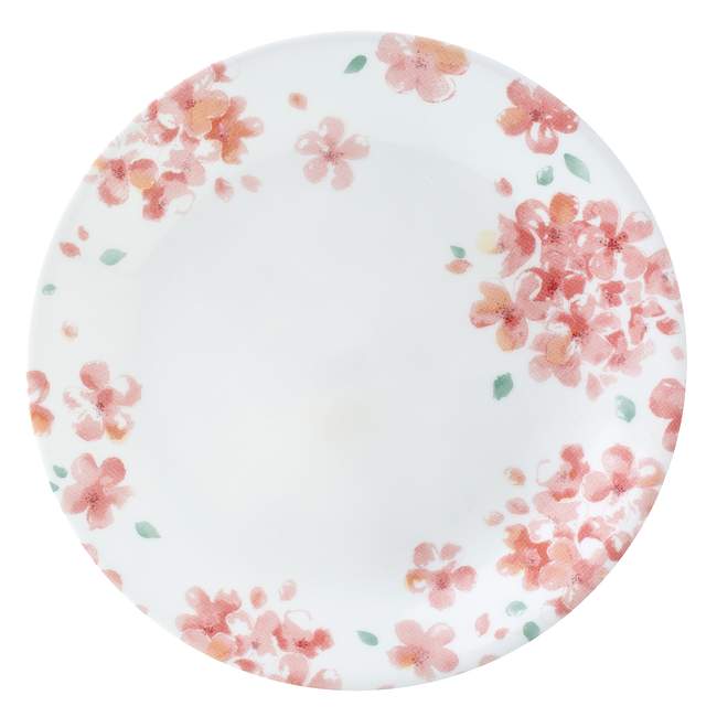 Boutique Adoria 12-pc Dinnerware Set