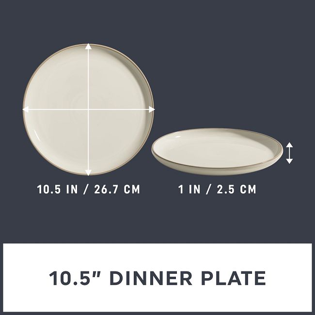 Salt Dinner Plate