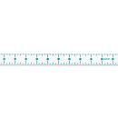 Reversible Acrylic Ruler, 1” x 12” - COMING SOON