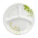European Herbs 10.25" Dinner Plate