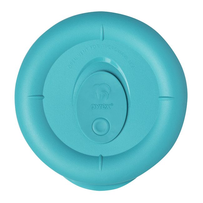Turquoise Lid for 1.67-cup Glass Food Storage Container