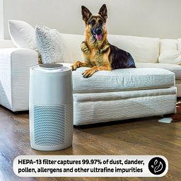 Instant Air Purifier, Large, Pearl a dog on the couch