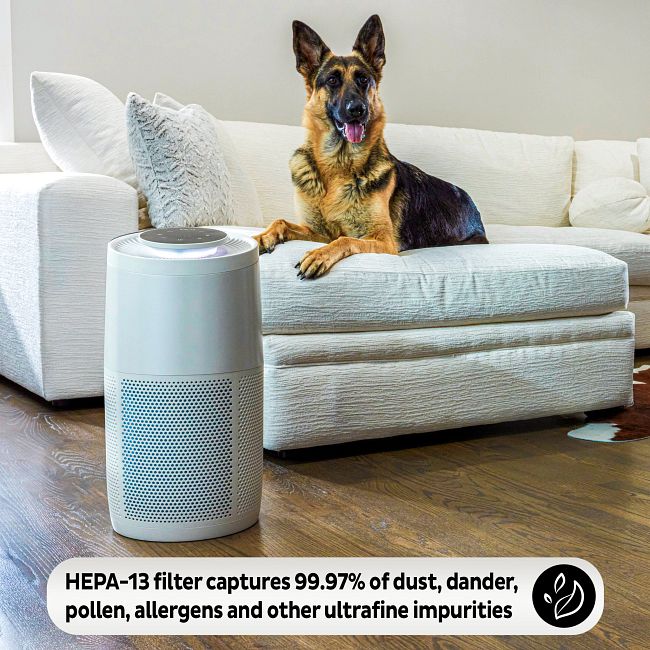 Instant™ Air Purification Replacement Filter - Medium