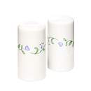 Country Cottage Salt & Pepper Set