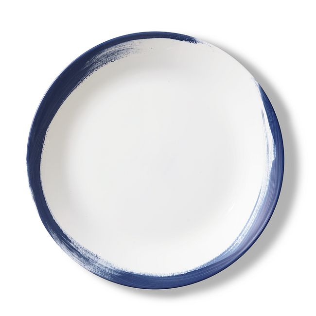 Vivid Splash 10.25” Dinner Plate