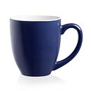 Indigo Blooms 16-piece Dinnerware Set, Service for 4