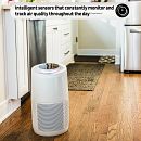 Instant™ Air Purifier, Medium, Pearl