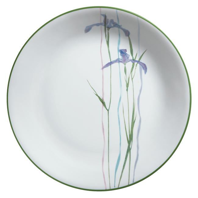 Impressions Shadow Iris 16-pc Dinnerware Set