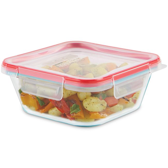 2 Pack 4 OZ Mini Square Glass Food Storage Containers with Lids,Floral Food  Jars Small Glass Container for Food Portion