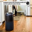 Instant™ Air Purifier, Large, Charcoal