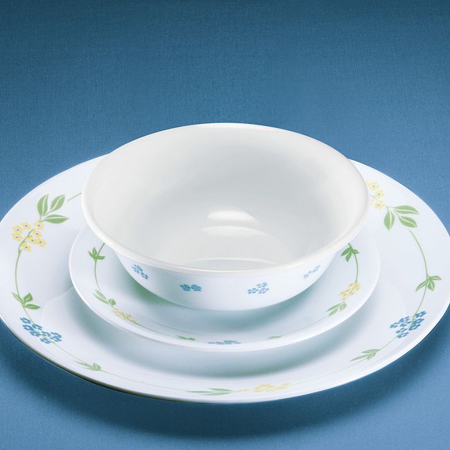 Secret Garden 18-piece Dinnerware Set, Service for 6